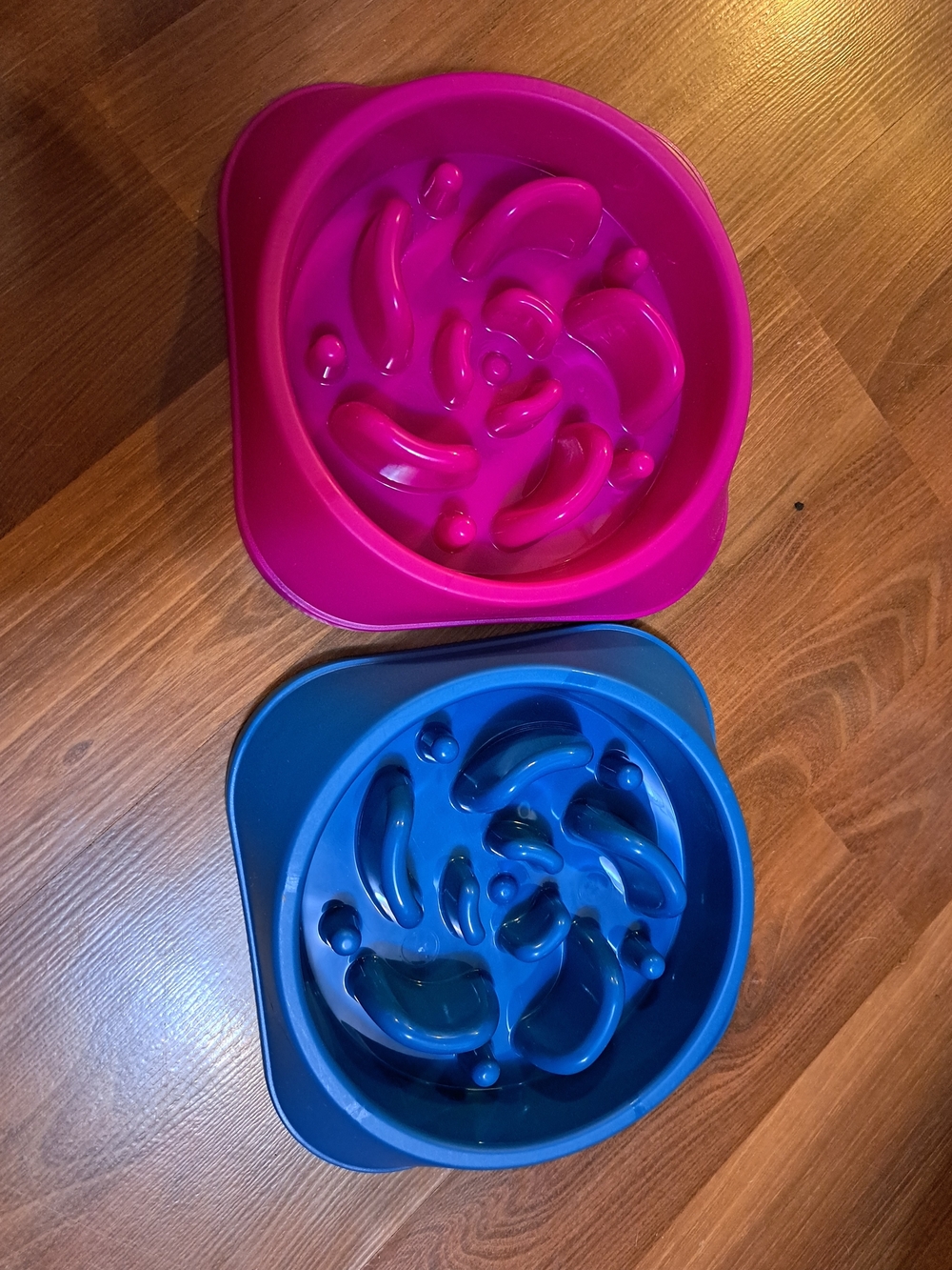 Slow-Feed Dog Bowl Pair — Pink & Blue Interactive Feeders